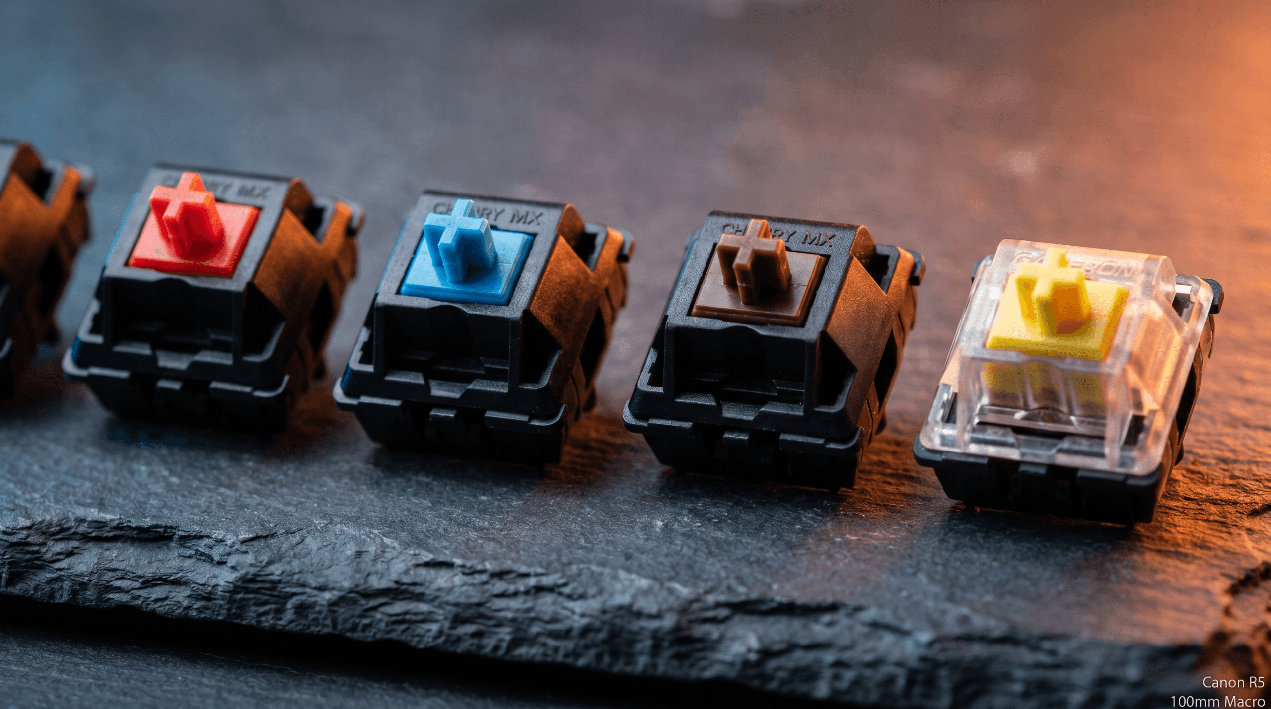 Mechanical Keyboard Switches Explained: The Guide I Wish Existed When I Started