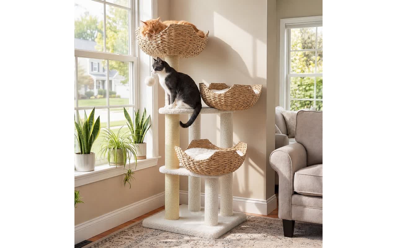Best modern cat trees — CheckPet guide